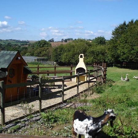 Greyfield Farm Cottages Farmborough Exteriér fotografie